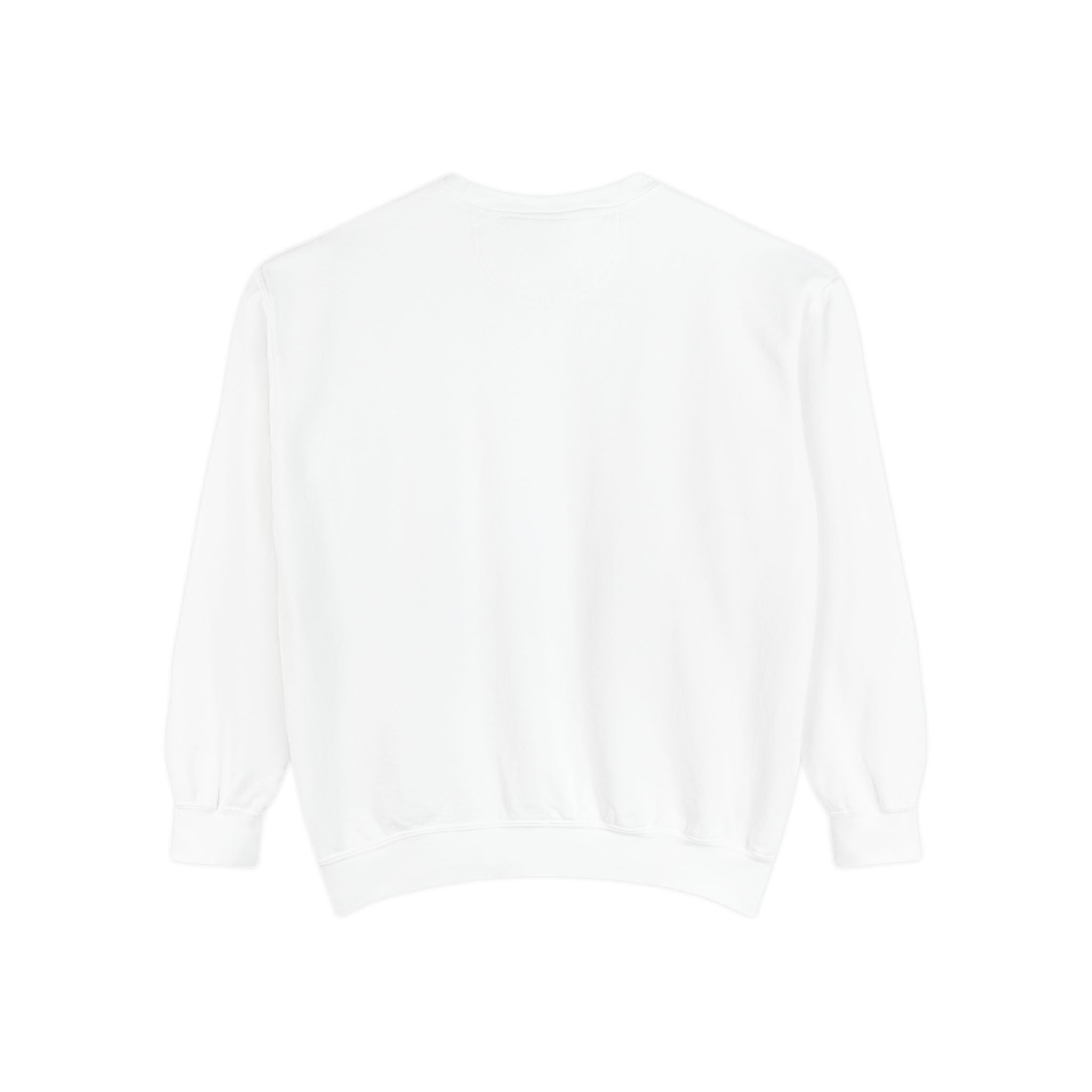 Friends of Main Streets Sweatshirt