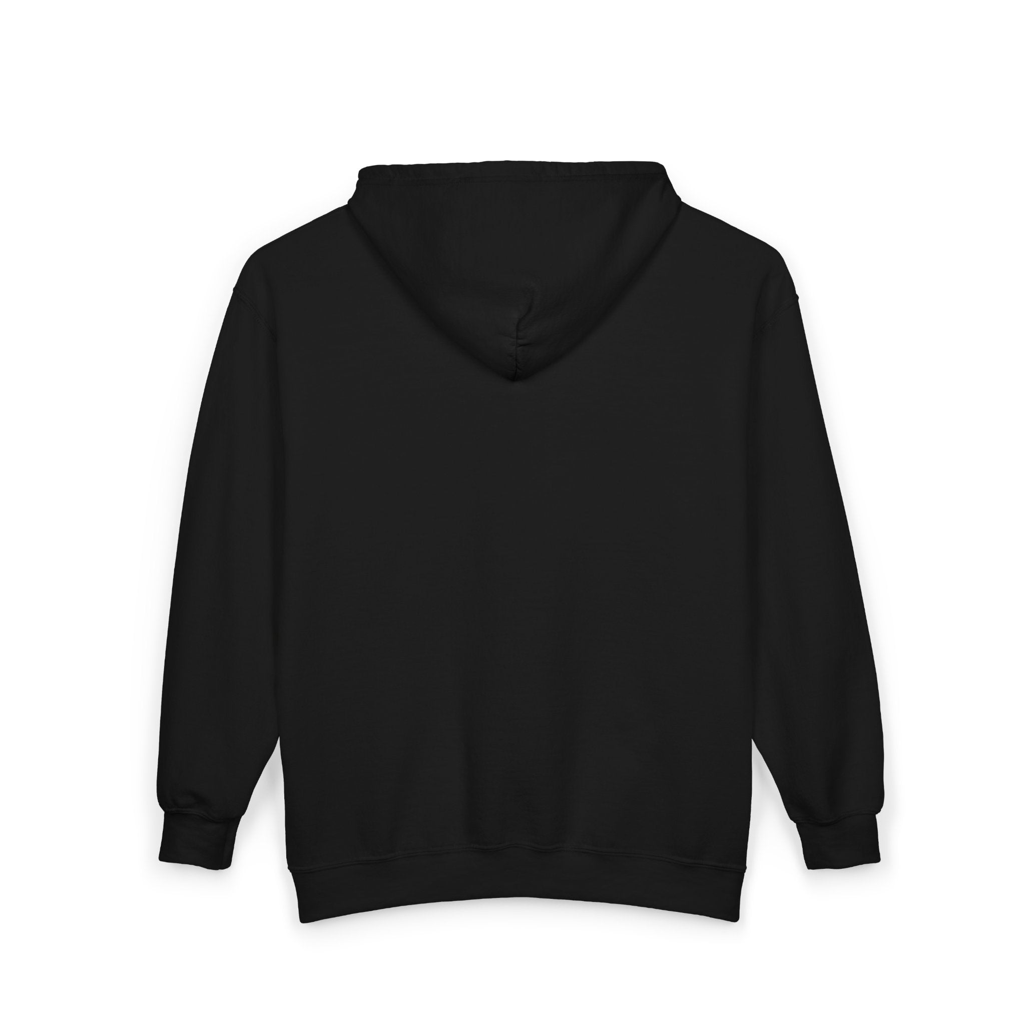 Friends Of Main Streets Full-Zip Black Hoodie