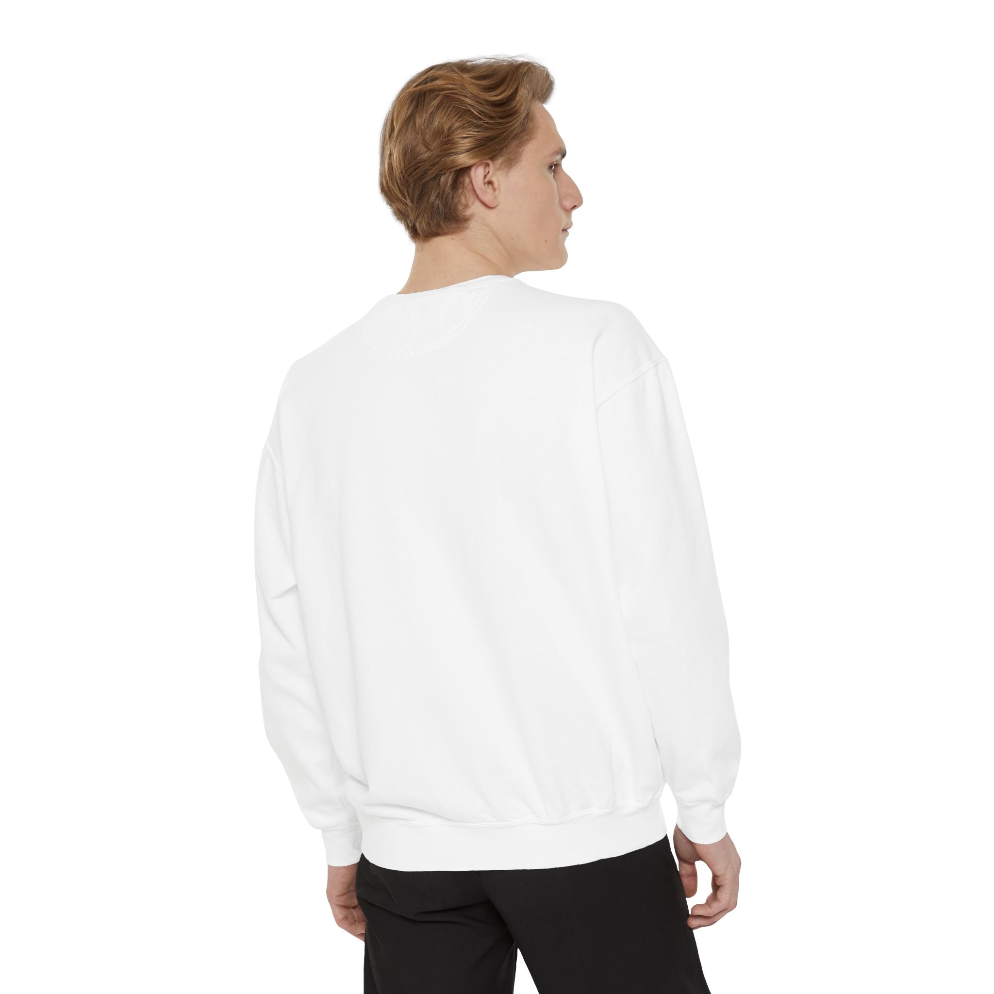 Friends of Main Streets Sweatshirt